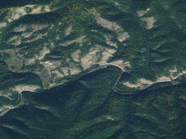 Aerial image of Fire Prev. Disp. Site #195A