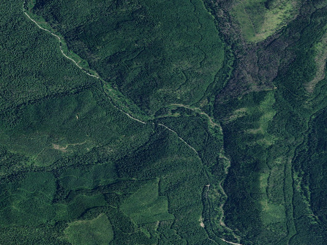 Aerial image of Fire Prev. Disp. Site #239