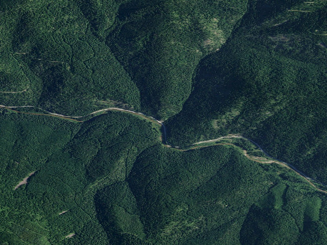 Aerial image of Fire Prevention Disp. Site #38