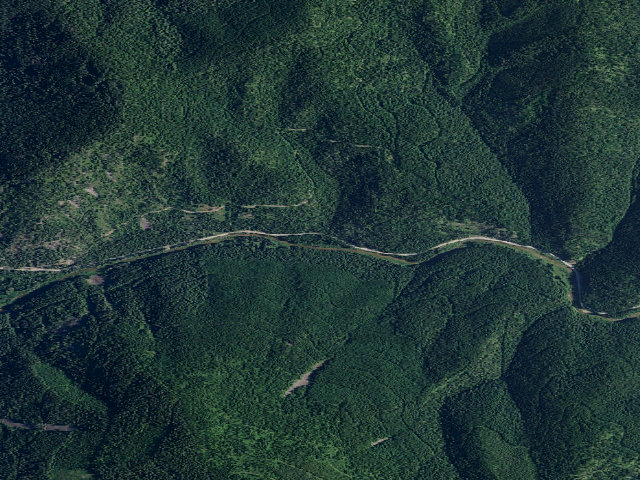 Aerial image of Fire Prevention Disp. Site #40