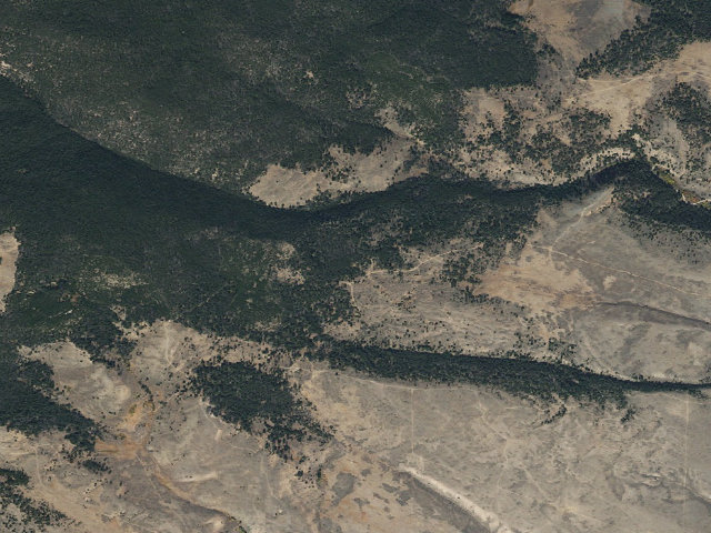 Aerial image of Firewood