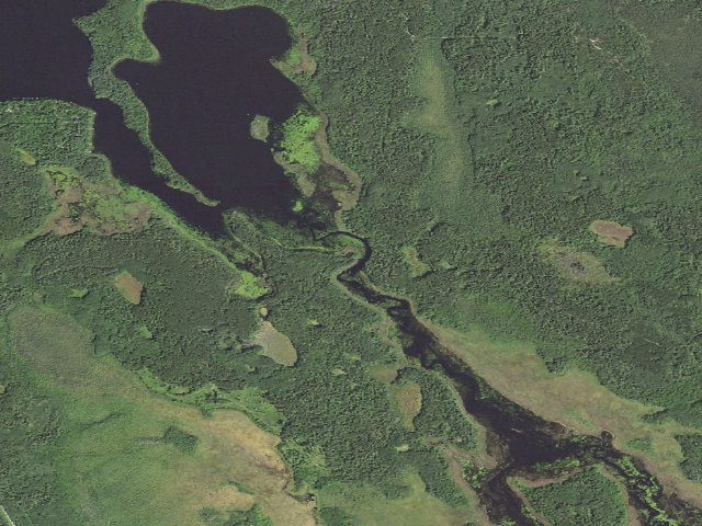 Aerial image of First River Campsite D32