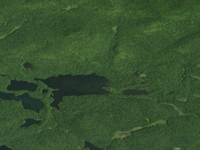 Aerial image of Fish Pond Site 3 (Saint Regis Canoe Area)