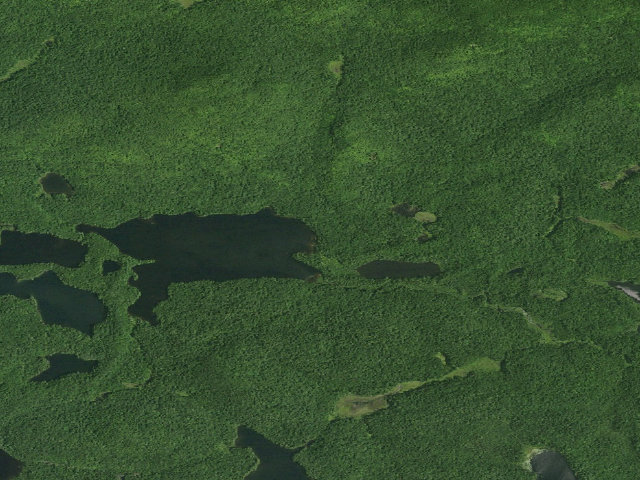Aerial image of Fish Pond Site 4 (Saint Regis Canoe Area)
