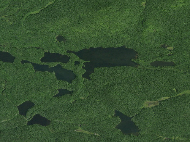 Aerial image of Fish Pond Site 6 (Saint Regis Canoe Area)