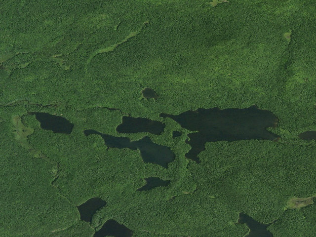 Aerial image of Fish Pond Site 6 (Saint Regis Canoe Area)
