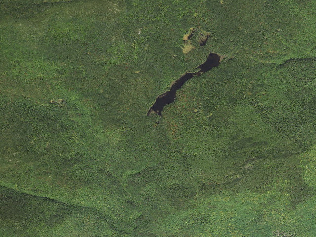 Aerial image of Flat Mtn Pond Shelter