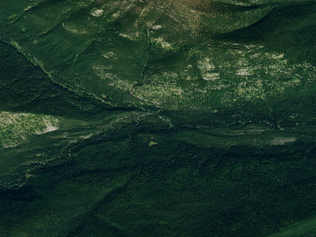 Aerial image of Flathead National Forest