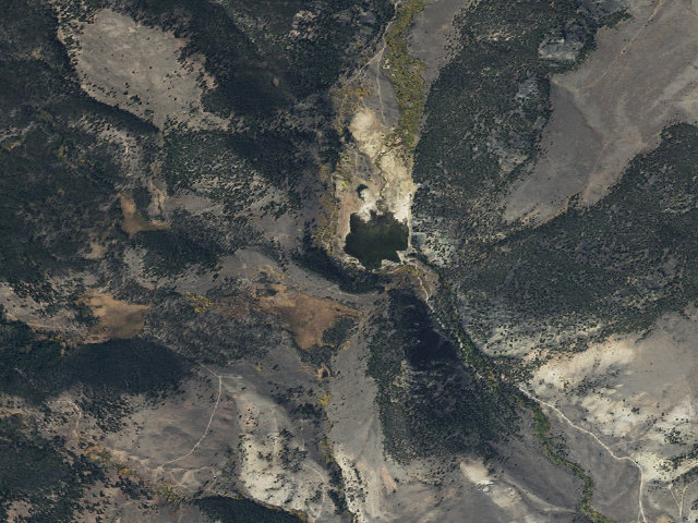Aerial image of Flies