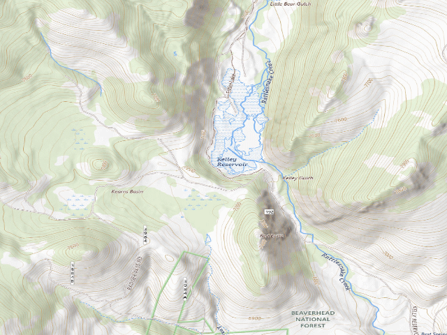 USGS topographic map of Flies