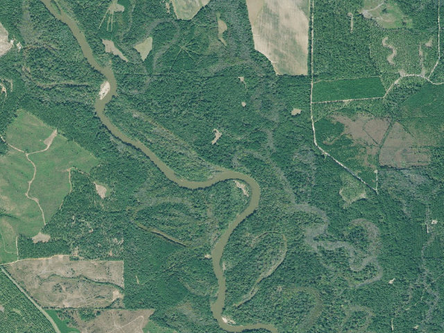 Aerial image of Flint River WMA - Kayak/Canoe Portage and Primitive Campground