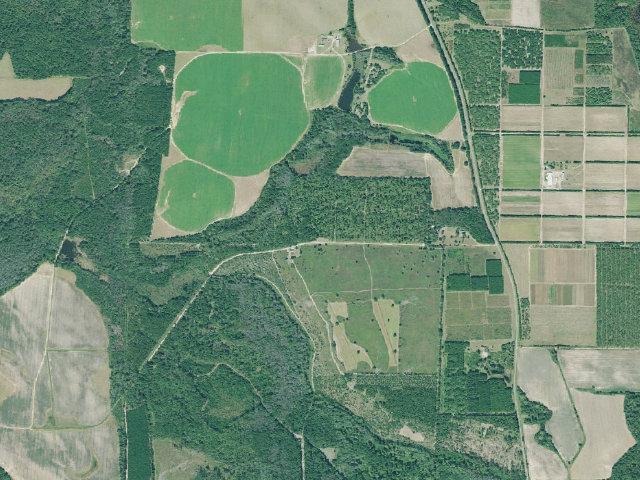 Aerial image of Flint River WMA Primitive Campground #1
