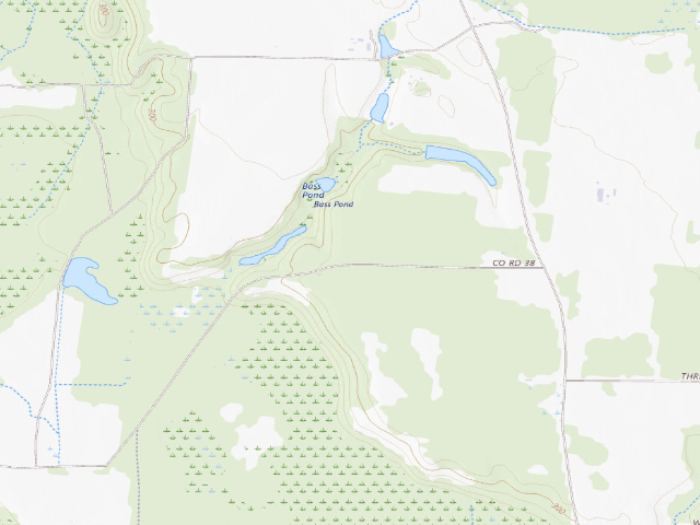 USGS topographic map of Flint River WMA Primitive Campground #1