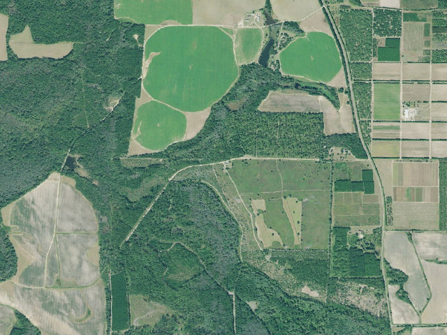 Aerial image of Flint River WMA Primitive Campground #2