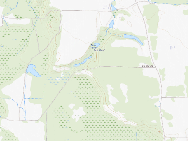 USGS topographic map of Flint River WMA Primitive Campground #2