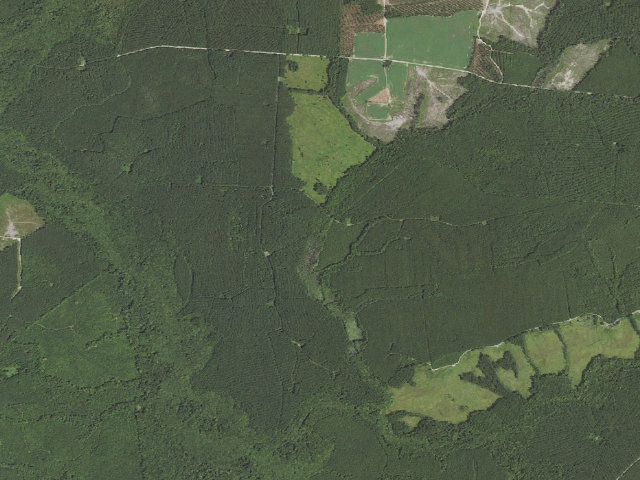Aerial image of Flippo-Gentry WMA