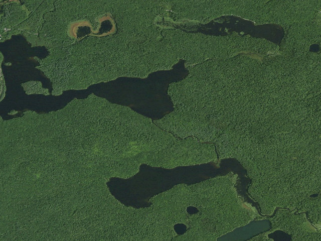 Aerial image of Floodwood Pond Site 10 (Saranac Lakes Wild Forest)