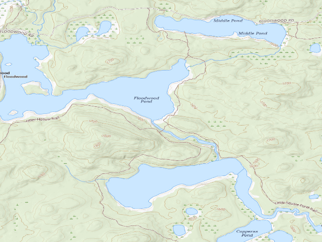 USGS topographic map of Floodwood Pond Site 10 (Saranac Lakes Wild Forest)