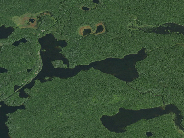 Aerial image of Floodwood Pond Site 11 (Saranac Lakes Wild Forest)