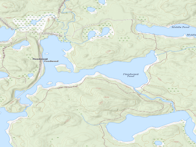 USGS topographic map of Floodwood Pond Site 11 (Saranac Lakes Wild Forest)