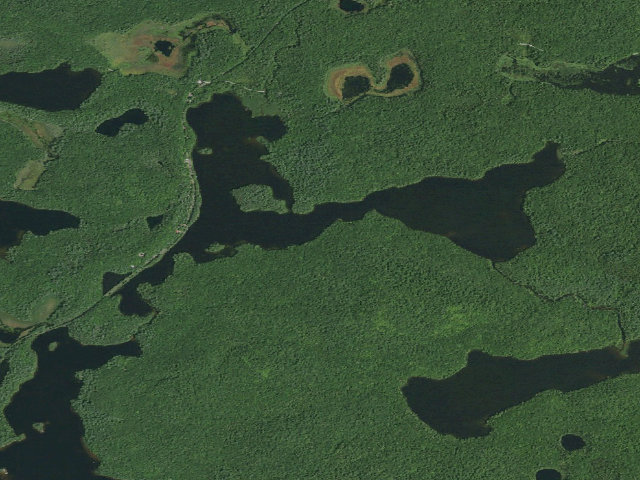 Aerial image of Floodwood Pond Site 12 (Saranac Lakes Wild Forest)