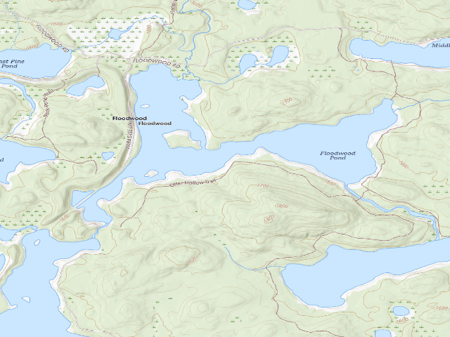 USGS topographic map of Floodwood Pond Site 12 (Saranac Lakes Wild Forest)