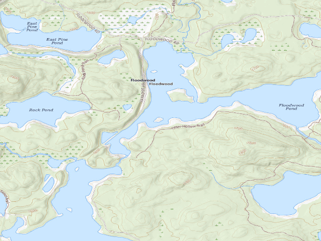 USGS topographic map of Floodwood Pond Site 13 (Saranac Lakes Wild Forest)