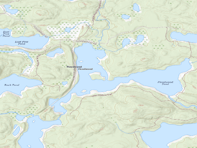 USGS topographic map of Floodwood Pond Site 2 (Saranac Lakes Wild Forest)