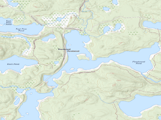 USGS topographic map of Floodwood Pond Site 4 (Saranac Lakes Wild Forest)