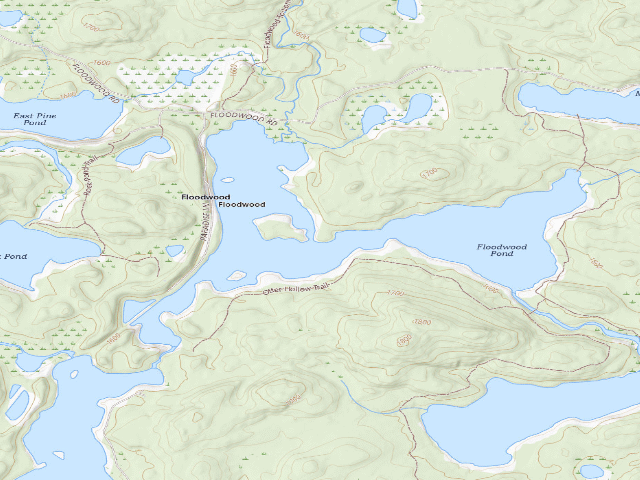 USGS topographic map of Floodwood Pond Site 6 (Saranac Lakes Wild Forest)
