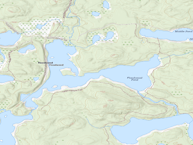 USGS topographic map of Floodwood Pond Site 7 (Saranac Lakes Wild Forest)