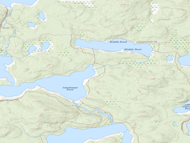 USGS topographic map of Floodwood Pond Site 8 (Saranac Lakes Wild Forest)