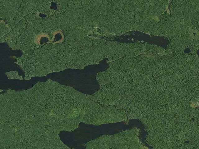Aerial image of Floodwood Pond Site 9 (Saranac Lakes Wild Forest)