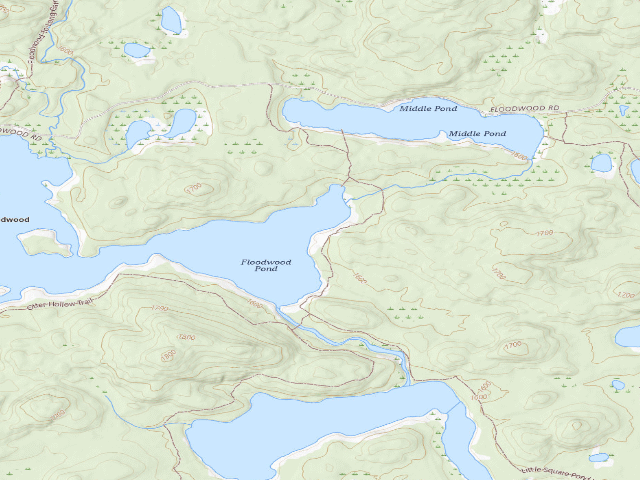 USGS topographic map of Floodwood Pond Site 9 (Saranac Lakes Wild Forest)