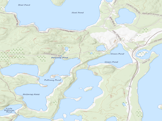 USGS topographic map of Floodwood Road Site 1 (Saranac Lakes Wild Forest)