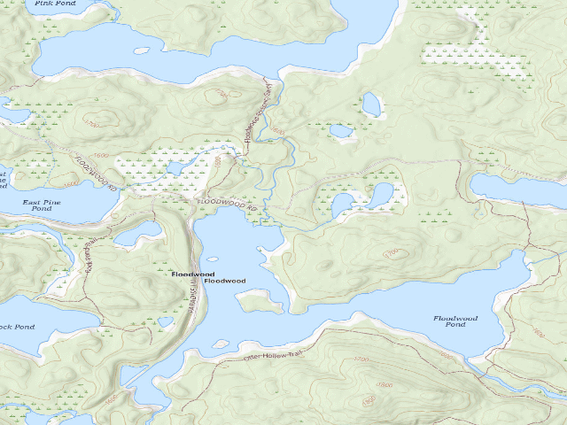 USGS topographic map of Floodwood Road Site 11 (Saranac Lakes Wild Forest)