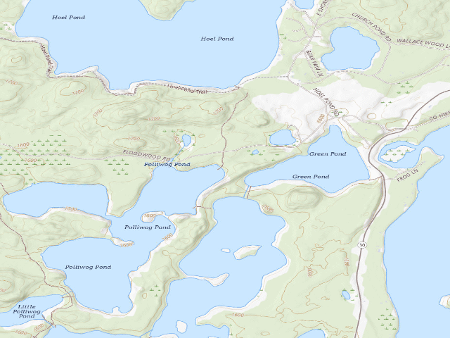USGS topographic map of Floodwood Road Site 2 (Saranac Lakes Wild Forest)