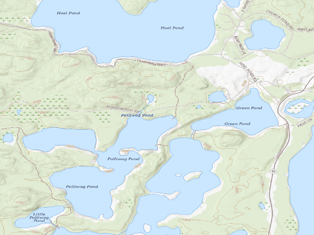 USGS topographic map of Floodwood Road Site 3 (Saranac Lakes Wild Forest)