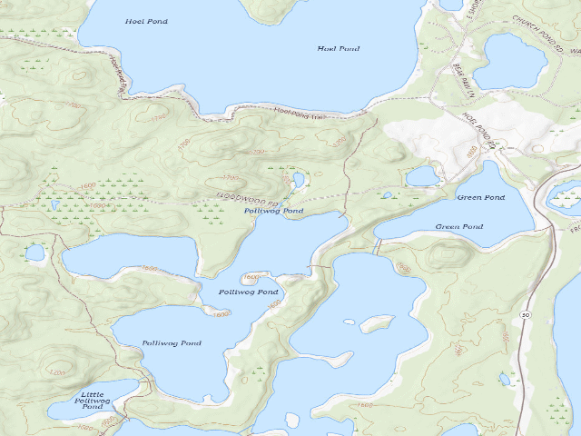 USGS topographic map of Floodwood Road Site 4 (Saranac Lakes Wild Forest)