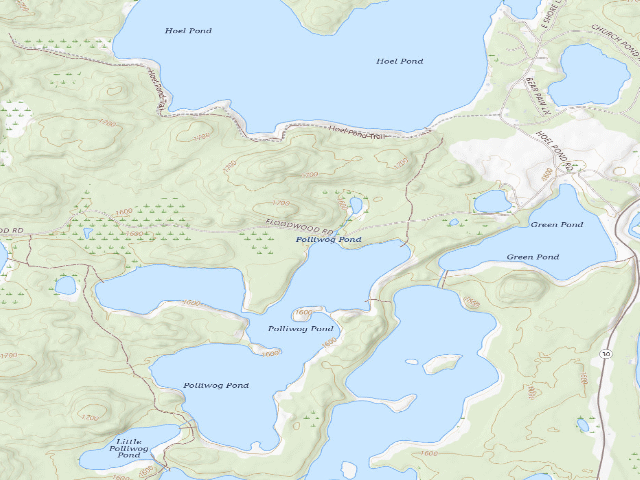 USGS topographic map of Floodwood Road Site 7 (Saranac Lakes Wild Forest)