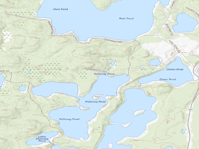 USGS topographic map of Floodwood Road Site 8 (Saranac Lakes Wild Forest)