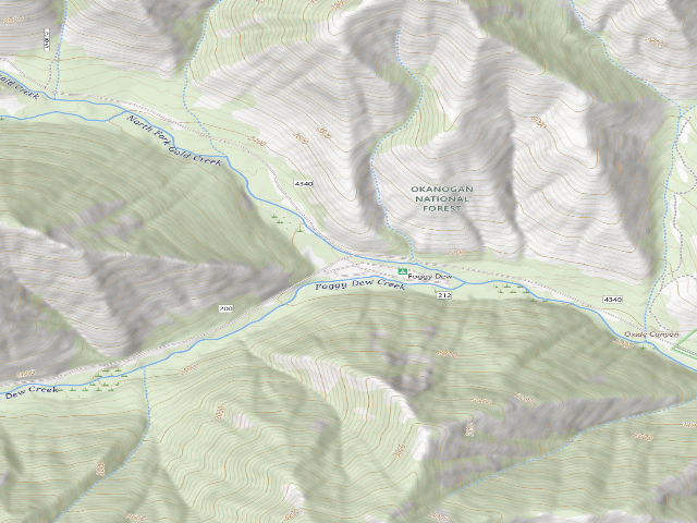 USGS topographic map of Foggy Dew Campground