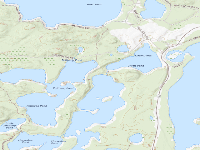 USGS topographic map of Follensby Clear Pond Site 1 (Saranac Lakes Wild Forest)