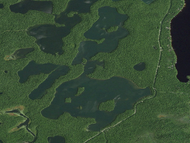 Aerial image of Follensby Clear Pond Site 10 (Saranac Lakes Wild Forest)