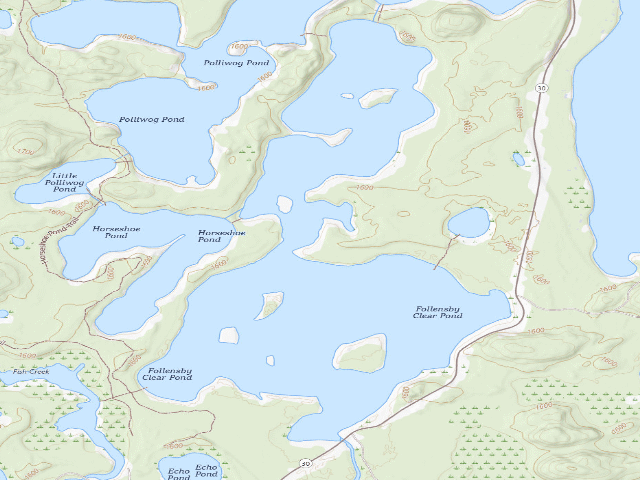 USGS topographic map of Follensby Clear Pond Site 10 (Saranac Lakes Wild Forest)