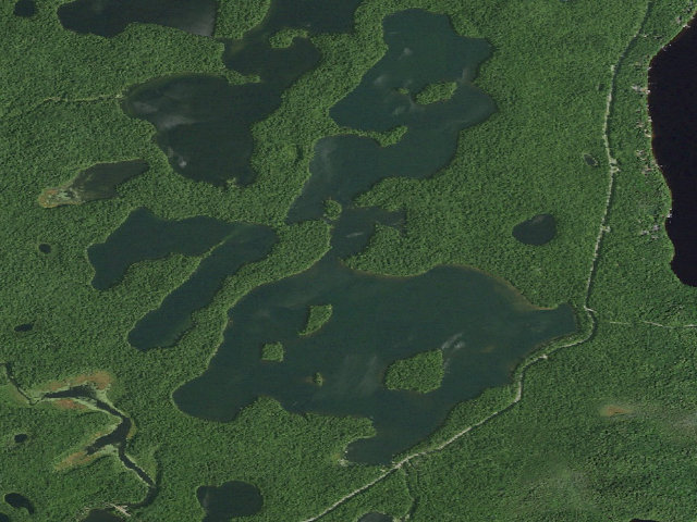 Aerial image of Follensby Clear Pond Site 11 (Saranac Lakes Wild Forest)