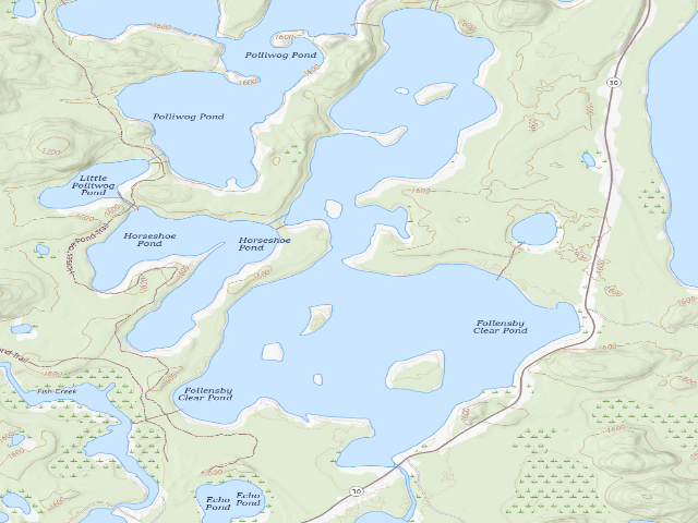 USGS topographic map of Follensby Clear Pond Site 11 (Saranac Lakes Wild Forest)