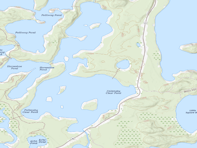 USGS topographic map of Follensby Clear Pond Site 13 (Saranac Lakes Wild Forest)