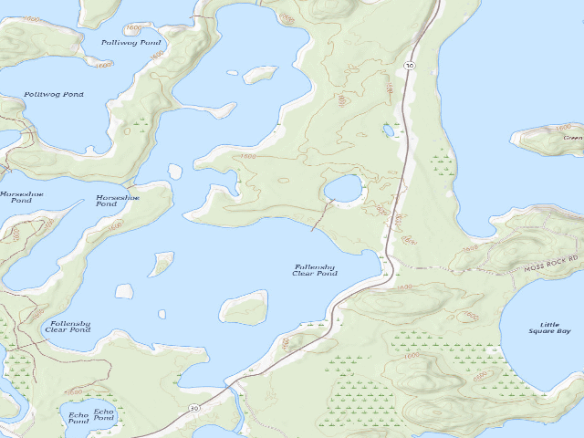 USGS topographic map of Follensby Clear Pond Site 14 (Saranac Lakes Wild Forest)