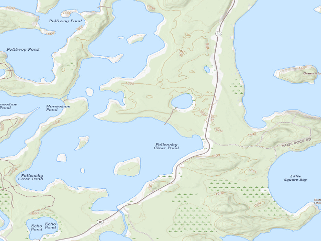 USGS topographic map of Follensby Clear Pond Site 15 (Saranac Lakes Wild Forest)